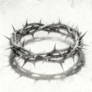 夏雪(prod by undislove)