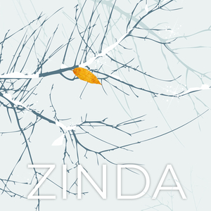 Zinda (Cover)