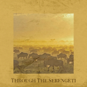 Through The Serengeti