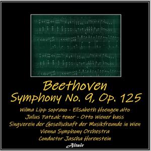Symphony NO. 9 in D Minor, Op. 125: I. Allegro Ma Non Troppo, Un Poco Maestoso