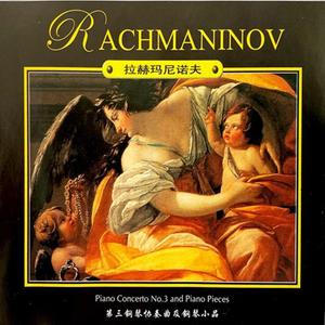 Piano Concerto No.3 in D minor,Op.30-Allegro
