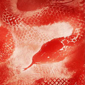 Buy new pants for the New Year