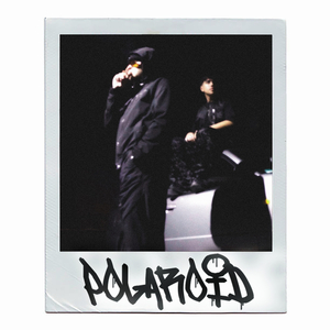 Polaroid