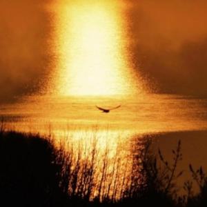 אהבת השם לישראל