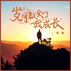 岁月教会了我成长