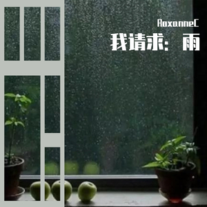 我请求：雨