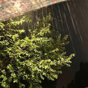 外卖之歌 人间烟火