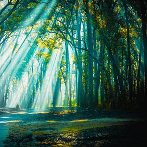 Earth Captivates with Harmonious Nature
