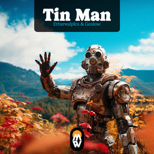 Tin Man