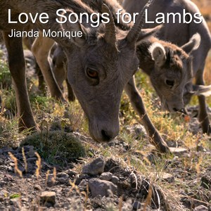 Love Songs for Lambs
