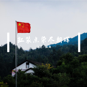 相随（翻自 群星）