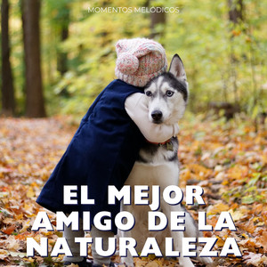 El Vínculo De La Naturaleza Con El Oasis De Tu Perro