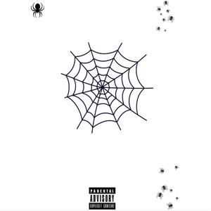 cobwebs
