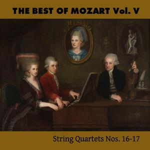 String Quartet in E-Flat Major, K. IV-213: I. Andante non troppo