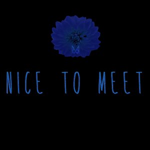 Nice to Meet