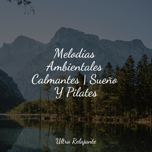 El Estrés Desaparece Para Siempre