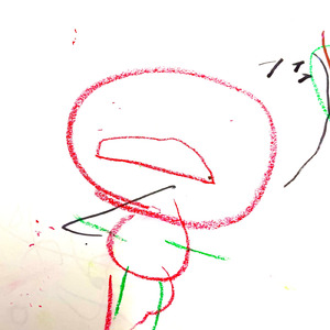 ダンゴムシ