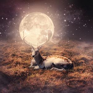 平凡之路（翻自 朴树）