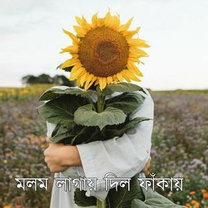 মলম লাগায় দিল ফাঁকায় (feat. Nargis)