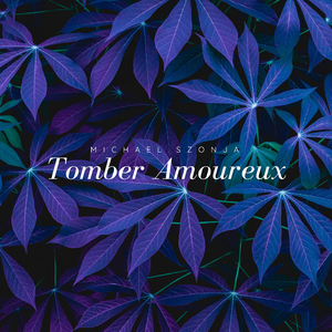 Tomber Amoureux