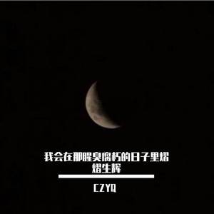 我会在那腥臭腐朽的日子里熠熠生辉2