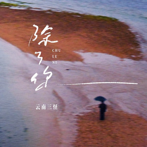 除了你 (温柔版)