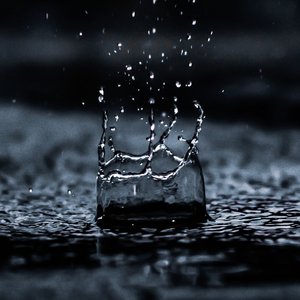 Palm Leaf Droplets