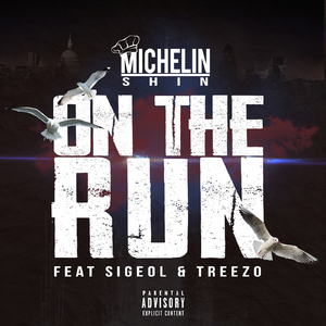 On the Run (feat. Sigeol & Treezo)