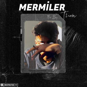 Mermiler