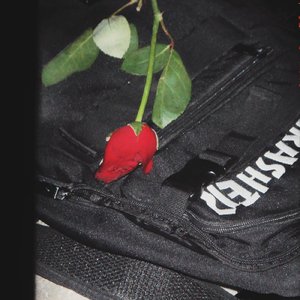 爱情里正在下雨