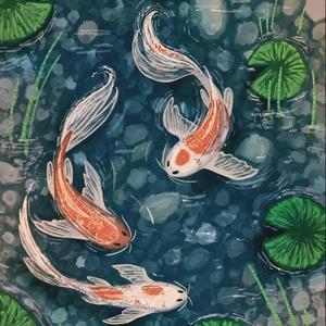 Koi