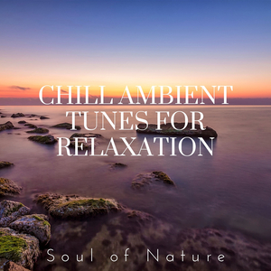 Soothing Soundscapes for Meditation