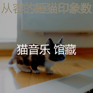 温和睡猫梦想
