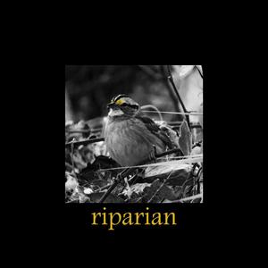 riparian