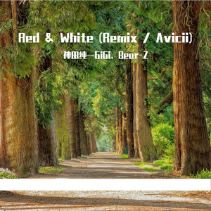Bear Z-Avicii Version Red & White（神田纯一GiGi / Bear Z remix）