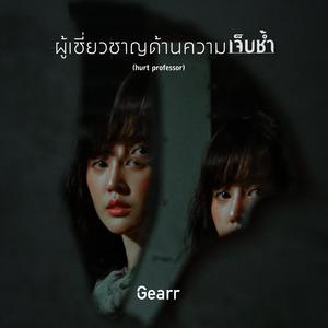 ผู้เชี่ยวชาญด้านความเจ็บช้ำ(hurt professor)