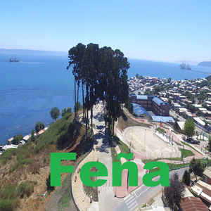 Feña