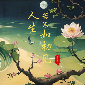 人生若只如初见—纳兰婉仪 伴奏