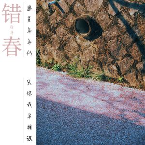 我错过了整个春天