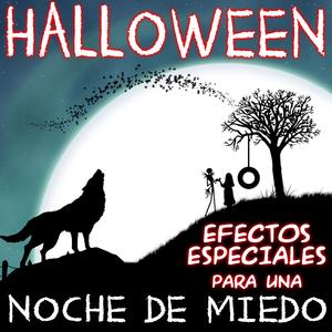 Apertura de Puertas I