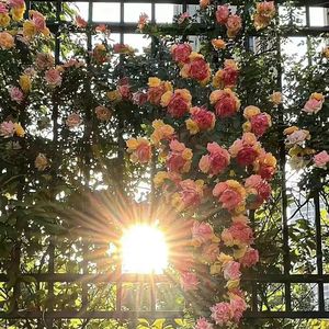 音频提取_170343_track0