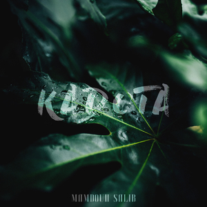 Kadota