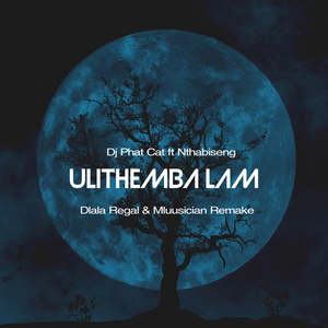 Ulithemba Lam (Dlala Regal & Mluusician Remake)