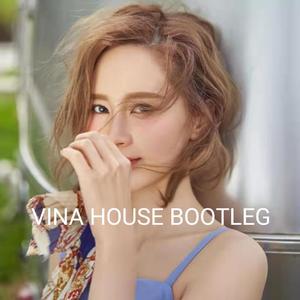 傅颖-花吃了这女孩（Vina House Bootleg）