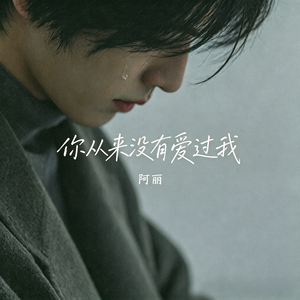 你从来没有爱过我