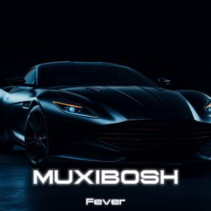 Fever