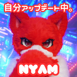 自分アップデート中。