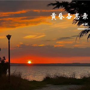 延迟的末班车频率