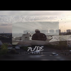7vie