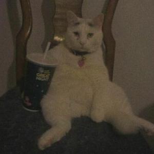 F.I.R.-我们的爱 - 成品（赵怡欣 remix）